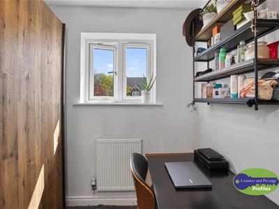 Picture 28